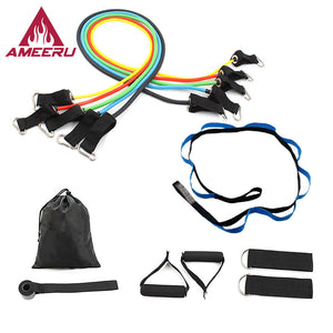 Ameeru Strength and Flexibility Resistance Band Kit - Ameeru Goods